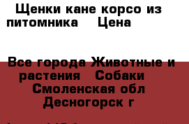 Щенки кане корсо из  питомника! › Цена ­ 65 000 - Все города Животные и растения » Собаки   . Смоленская обл.,Десногорск г.